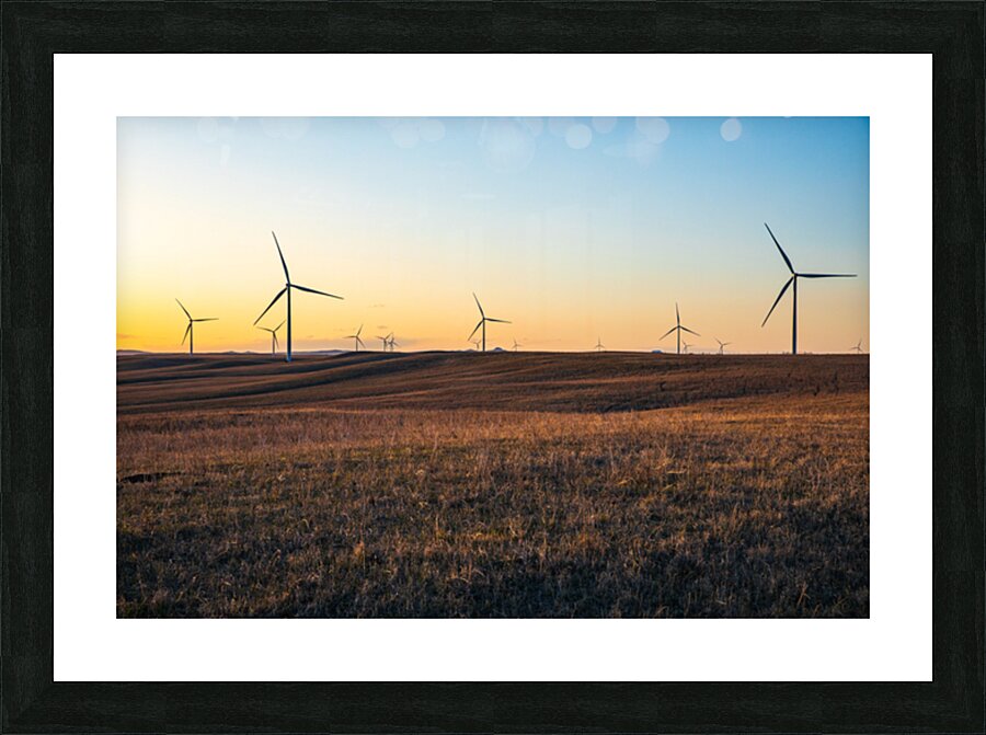 CPP 1261 Picture Frame print