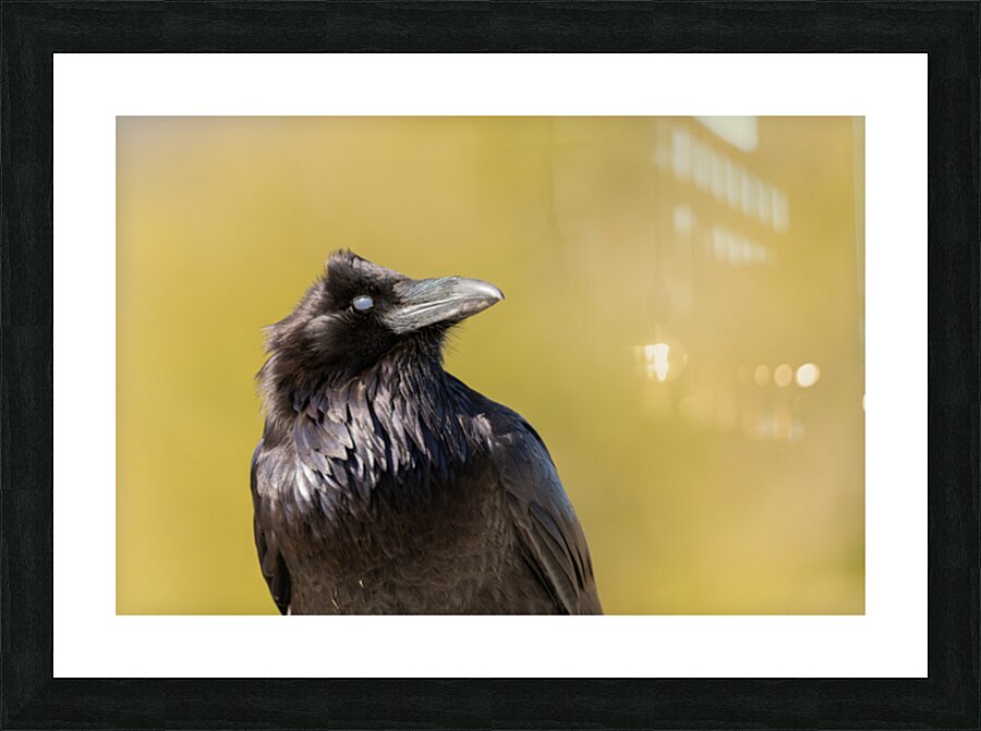CPP09878 Picture Frame print