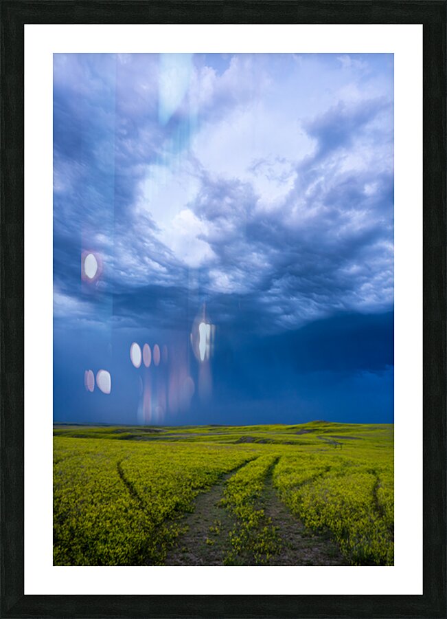 CPP02063 Picture Frame print