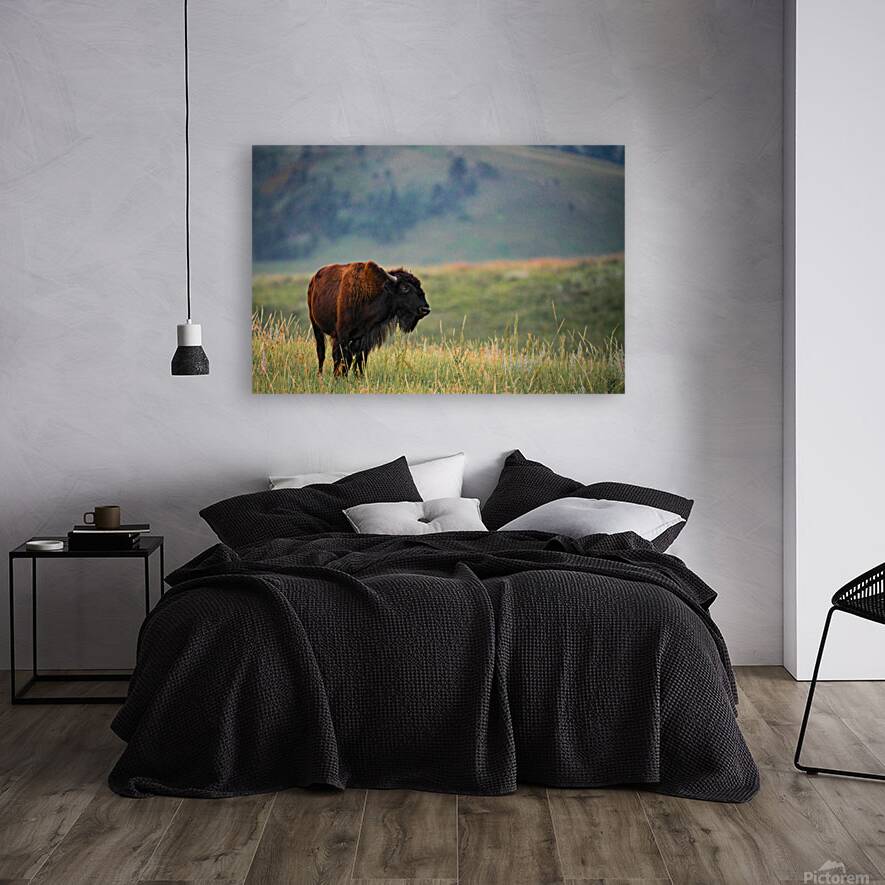 DSC00443 Enhanced SR Reproduction