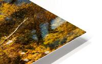 DSC03832 Enhanced SR HD Metal print
