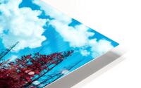 2 45 HD Metal print