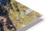 CPP00115 HD Metal print