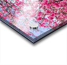 Nature -  Cherry tree - XI Acrylic print
