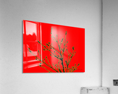 Nature - Tree IV Acrylic Print