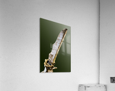 Boat - XVI Acrylic Print