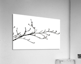Nature - XXIII Acrylic Print