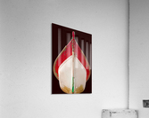 Boat - CXXIII Acrylic Print