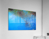 Reflex - XIII Acrylic Print