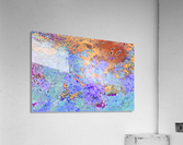 Reflex - XXVII Acrylic Print