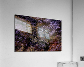 Reflex - XLVIII Acrylic Print