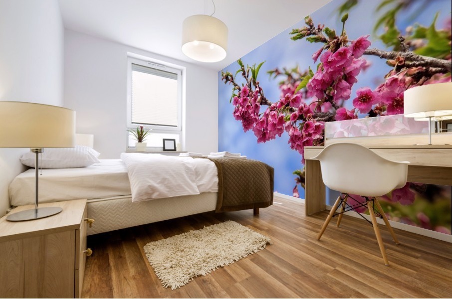 Nature - Cherry tree - XIII  Mural print