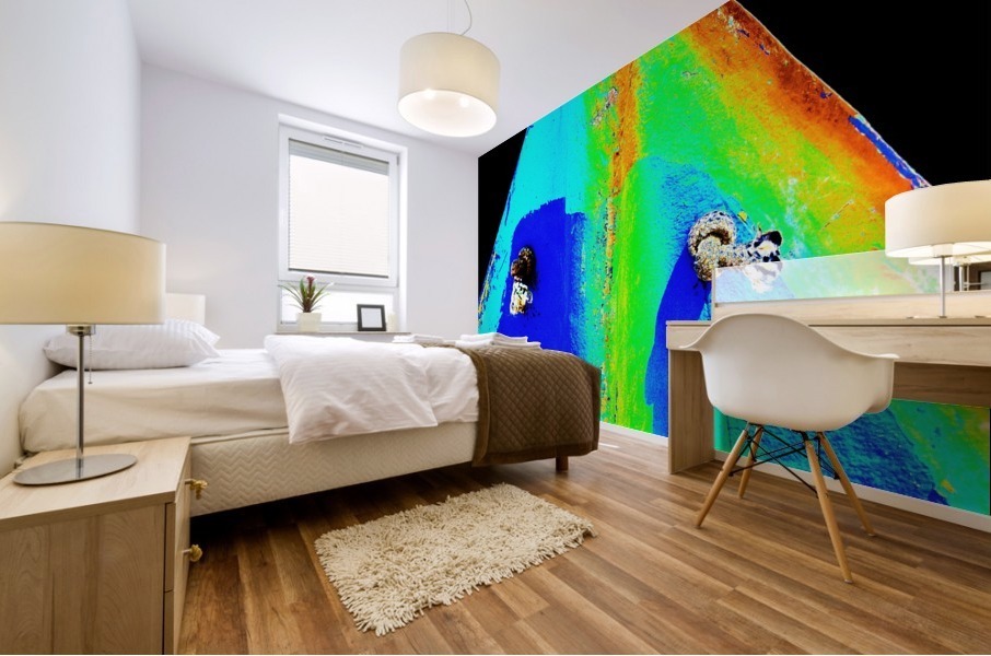 Boat - XCIX Mural print