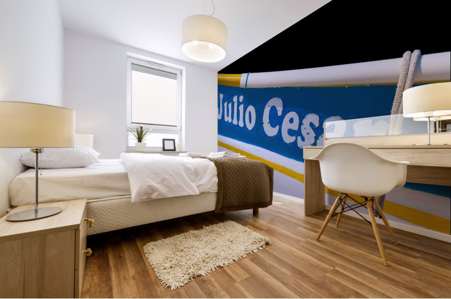 Boat - CXXX Mural print