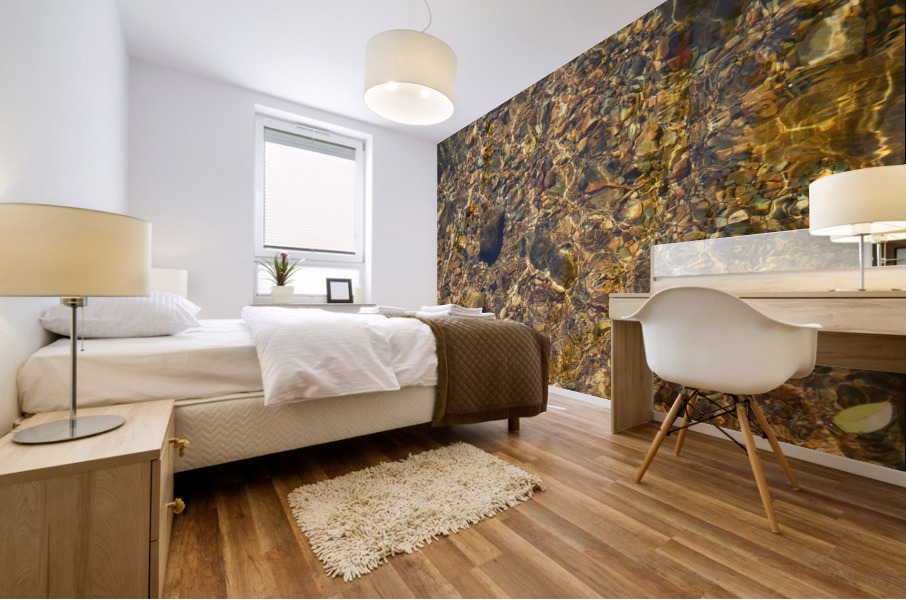 Reflex - XVI Mural print