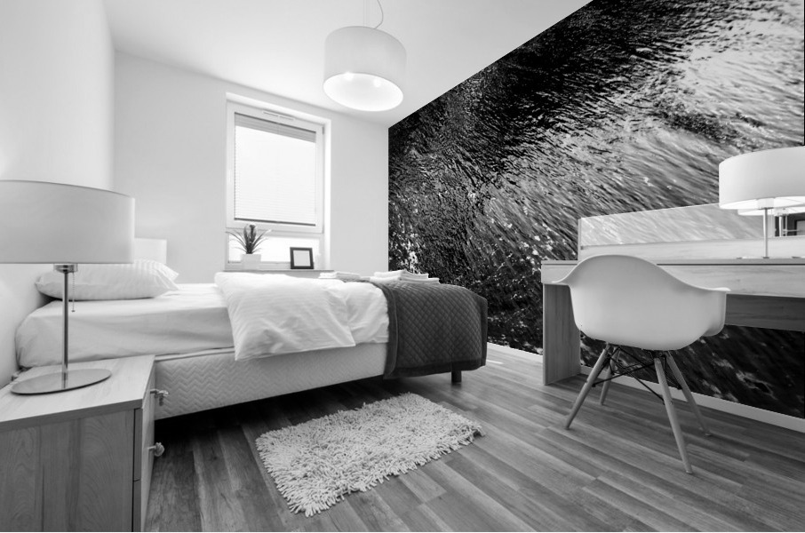 Reflex - XVII Mural print