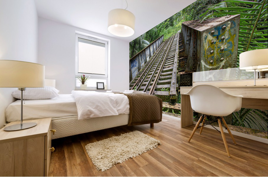Bridge - XLII Mural print