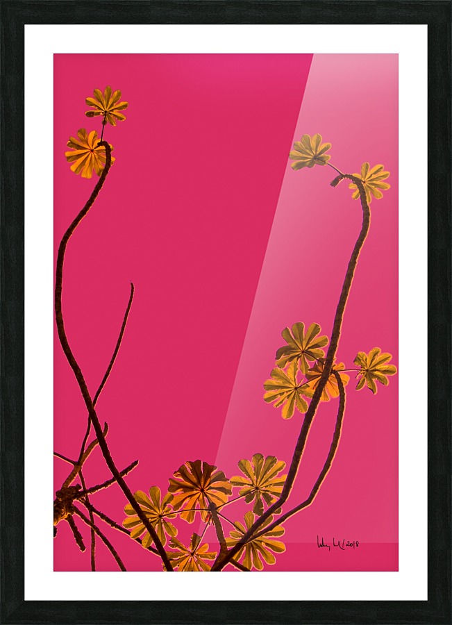 Nature - Tree V Picture Frame print