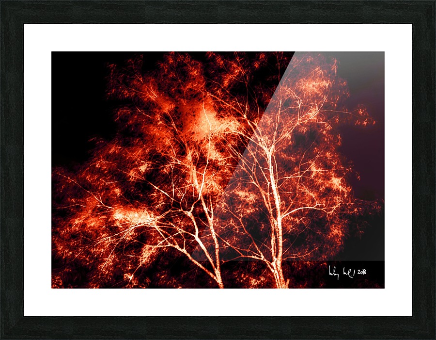 Nature - VII Picture Frame print