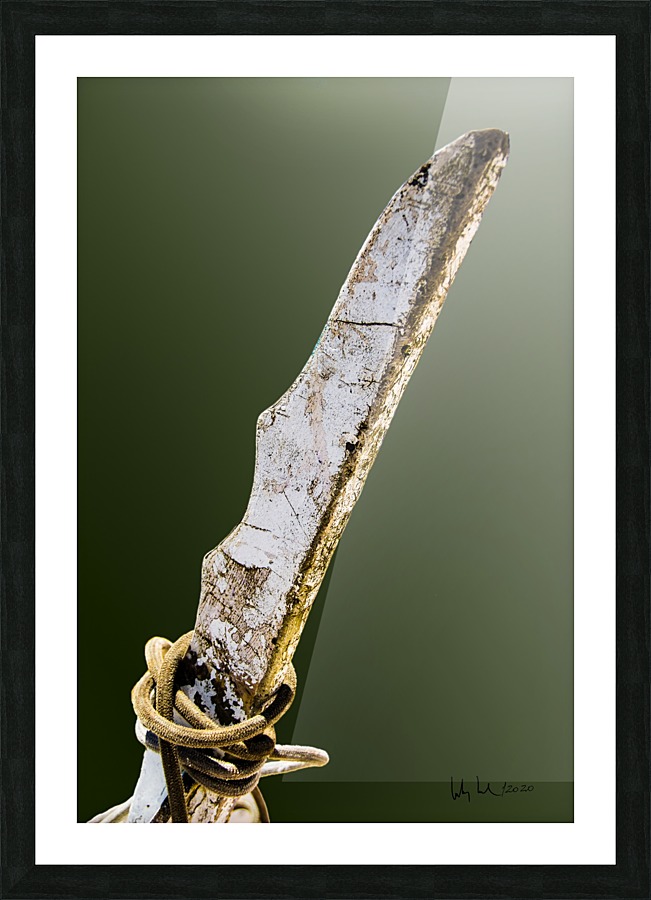 Boat - XVI Picture Frame print