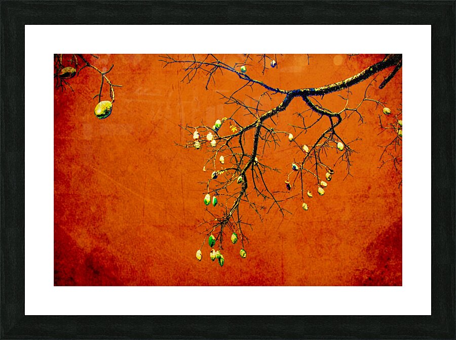 Nature - VIIIC Picture Frame print
