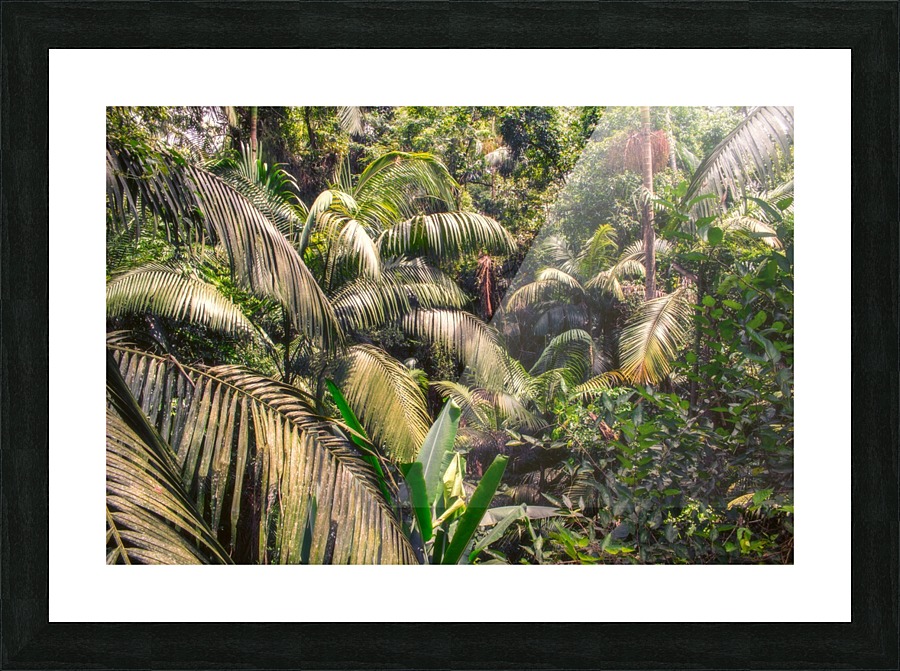 Nature - I Picture Frame print