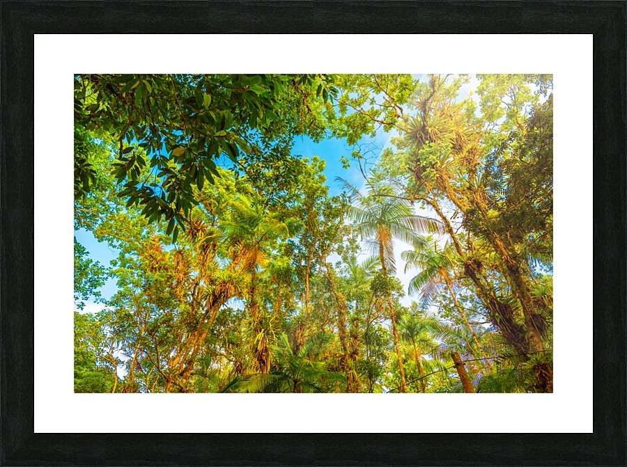 Nature - II Picture Frame print