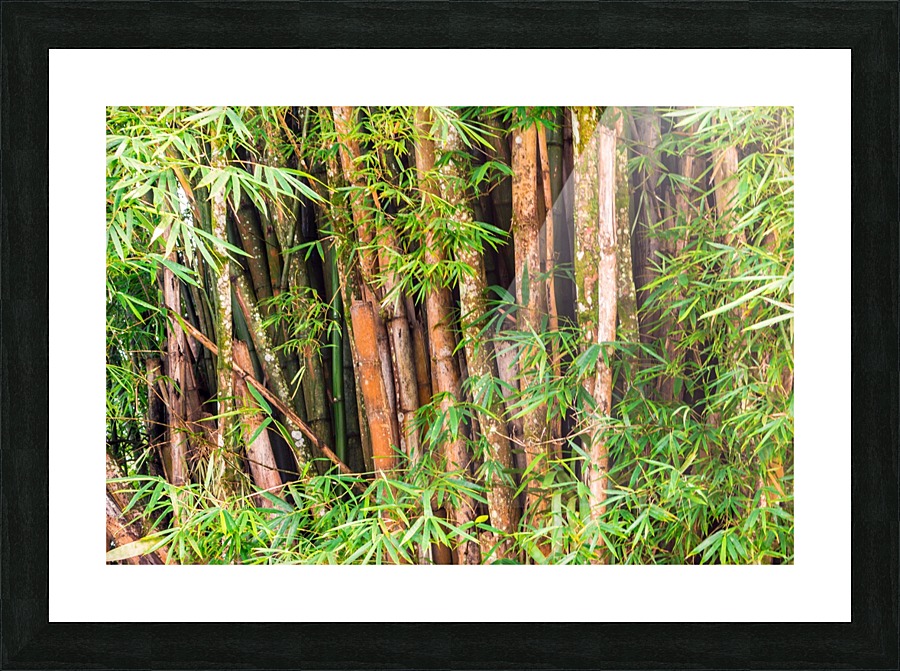 Nature - V Picture Frame print