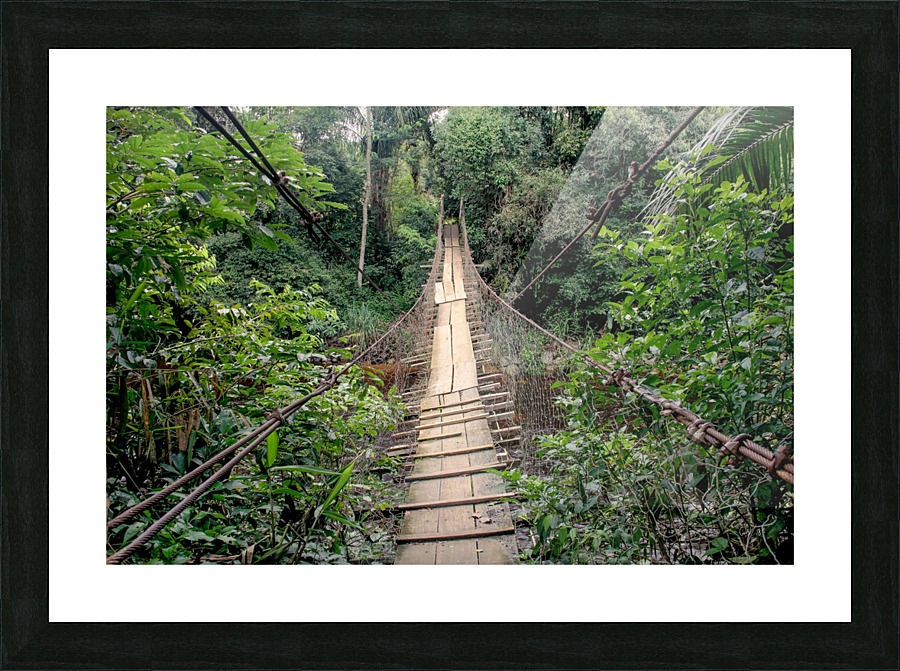 Bridge - VI Picture Frame print