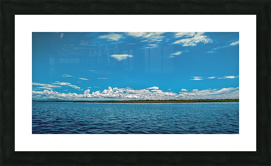 Nature - XVIII Picture Frame print
