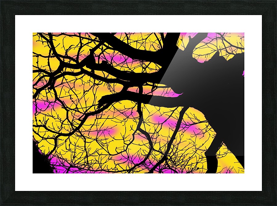 Nature - IX Picture Frame print