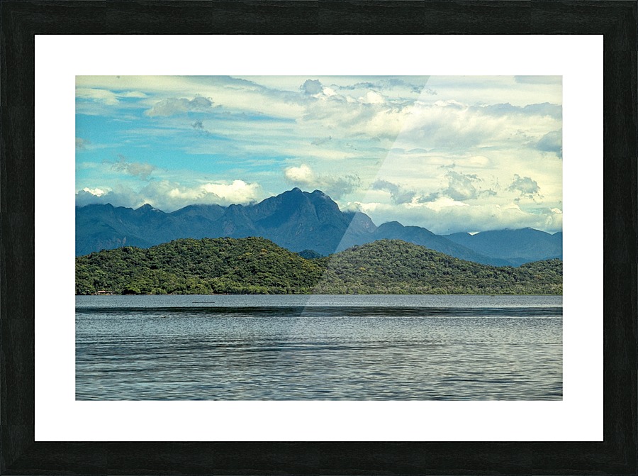 Nature -  XII Picture Frame print