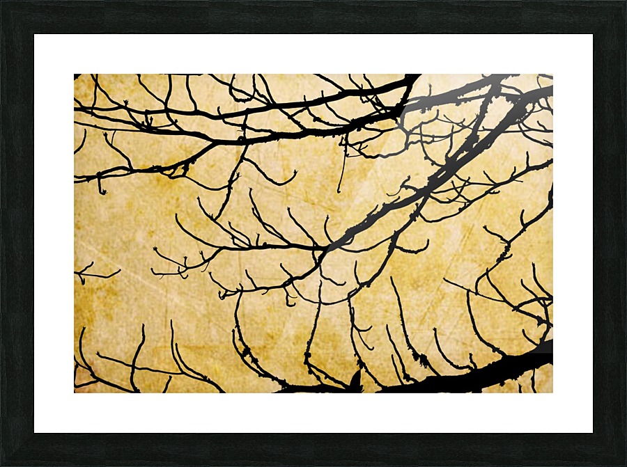 Nature - XVIII Picture Frame print