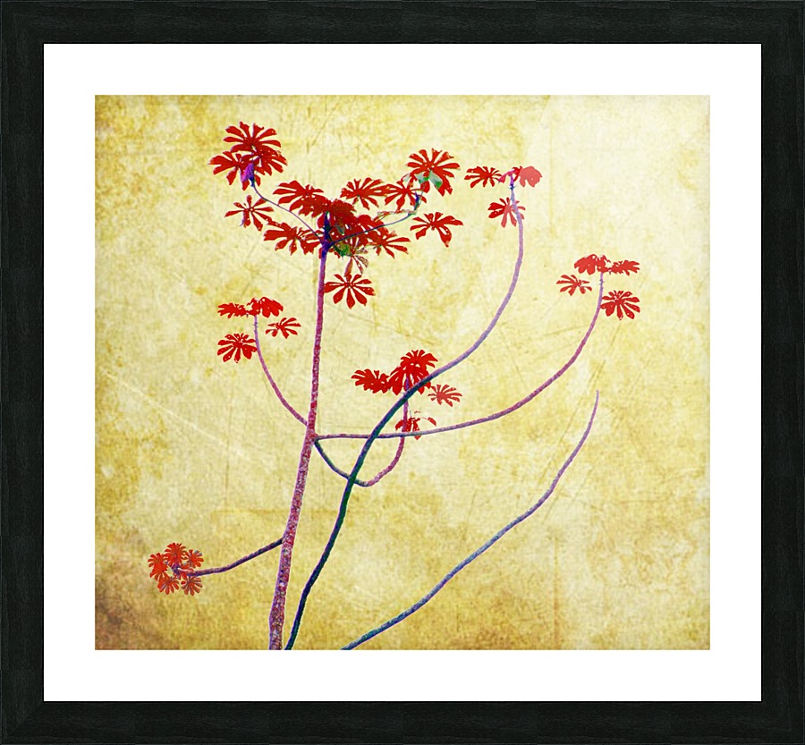 Nature - XX Picture Frame print