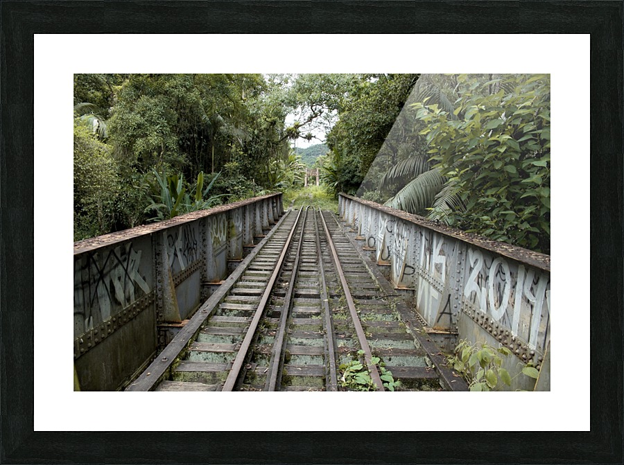 Bridge - XXXV Picture Frame print