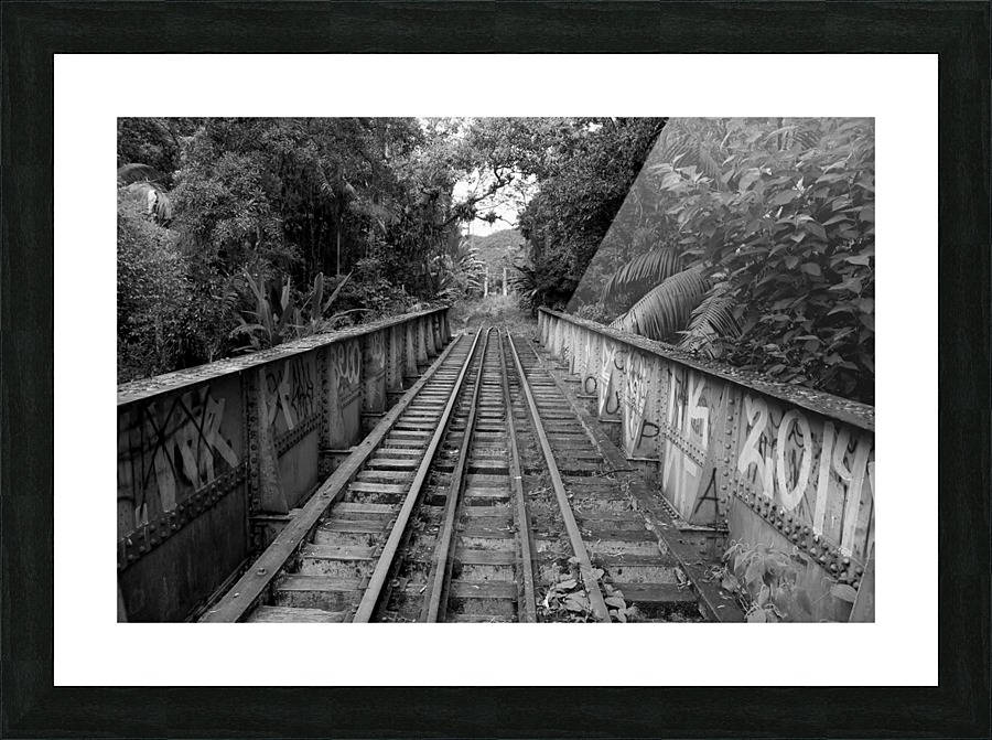 Bridge - XXXVI Picture Frame print