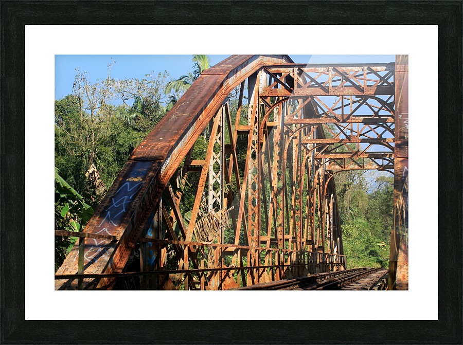 Bridge - XXXIX Picture Frame print
