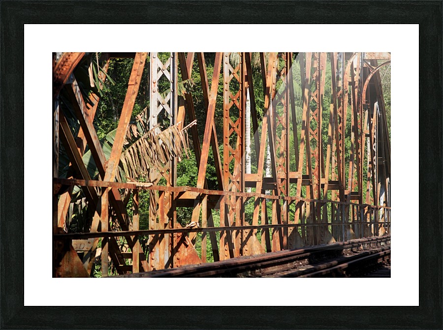 Bridge - XLI Picture Frame print