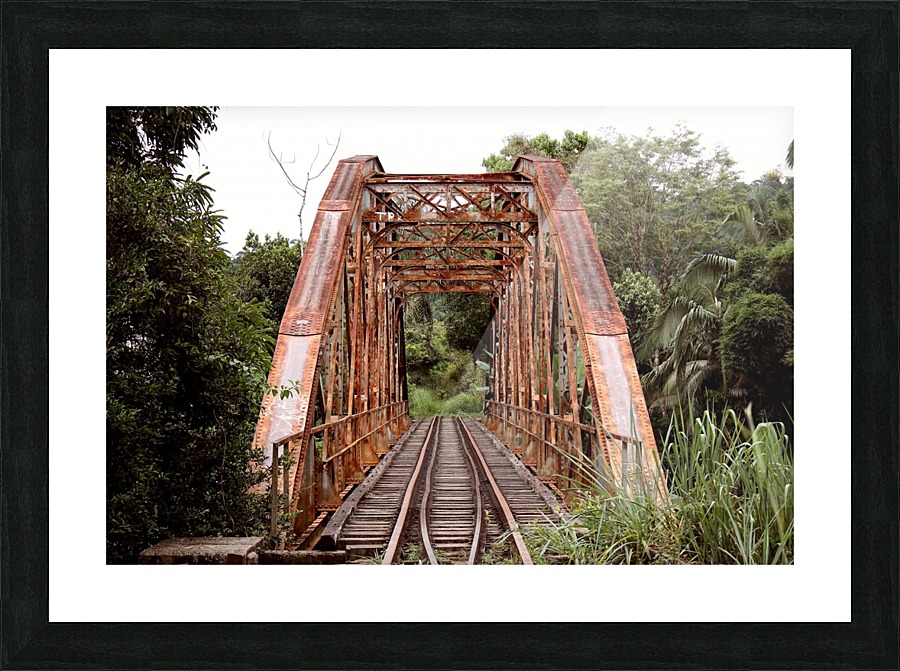 Bridge - XLII Picture Frame print
