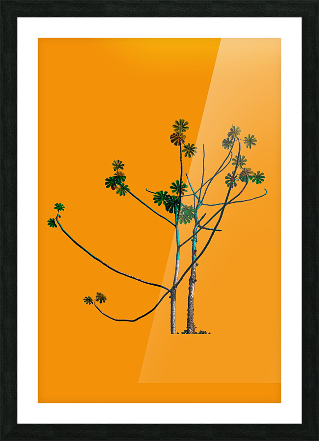 Nature - VI Picture Frame print