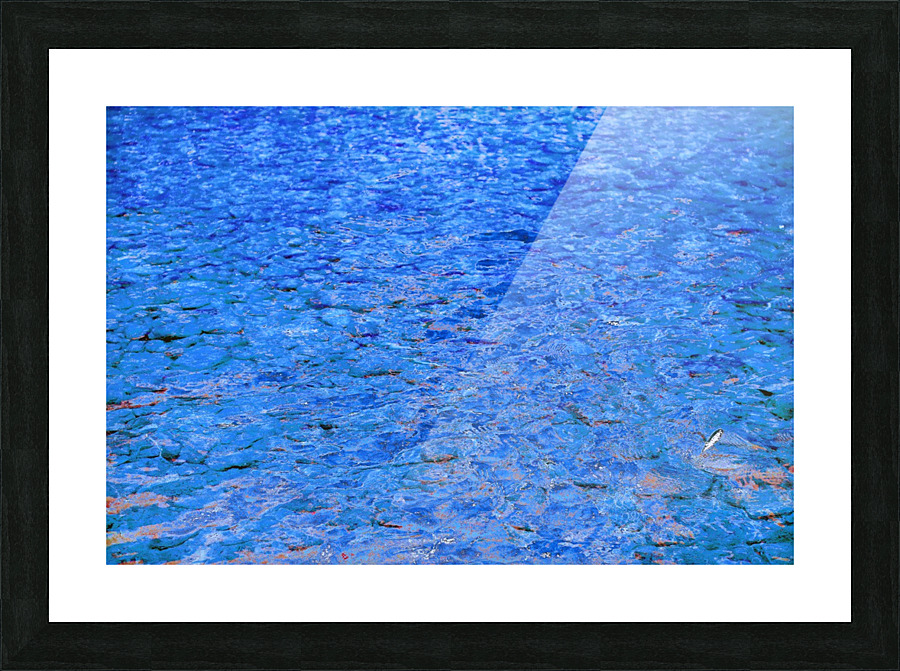 Reflex - XIV Picture Frame print
