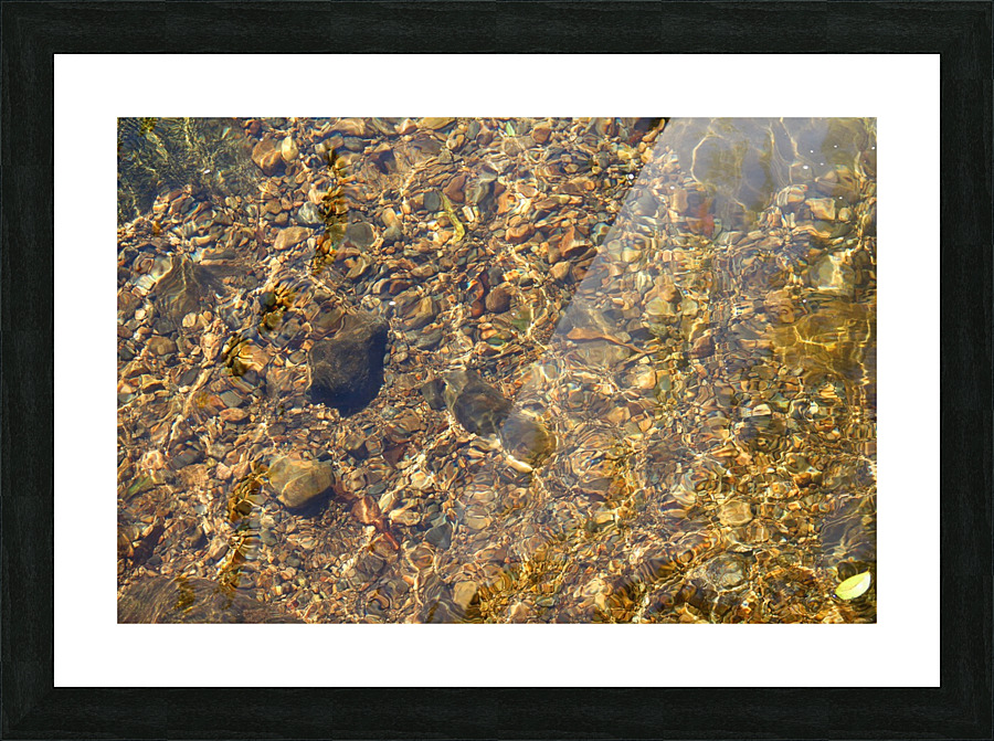 Reflex - XVI Picture Frame print