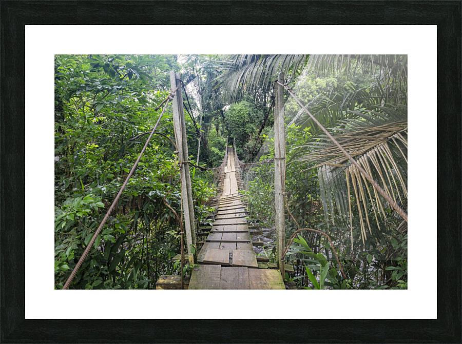 Bridge - XLI Picture Frame print