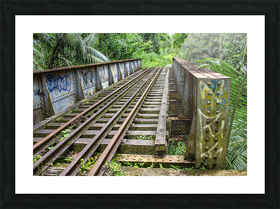 Bridge - XLII Picture Frame print