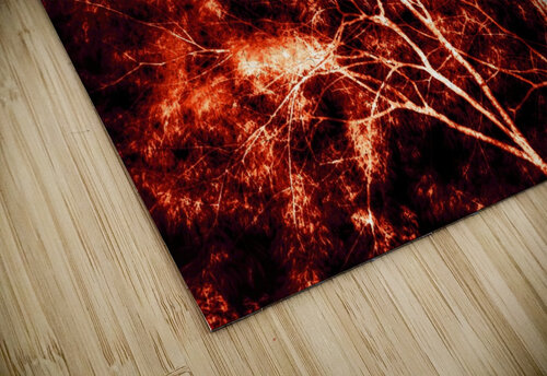 Nature - VII Carlos Wood puzzle