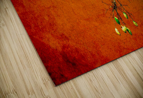 Nature - VIIIC Carlos Wood puzzle
