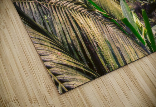 Nature - I Carlos Wood puzzle