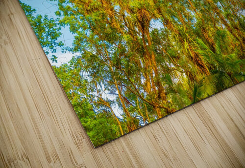 Nature - II Carlos Wood puzzle