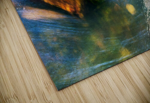 Reflex - I Carlos Wood puzzle