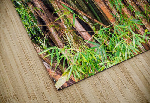 Nature - V Carlos Wood puzzle